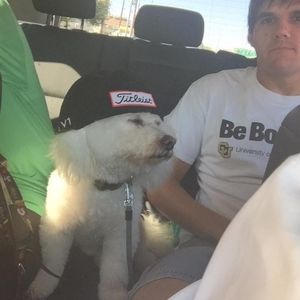 Meet your Posher, Allison